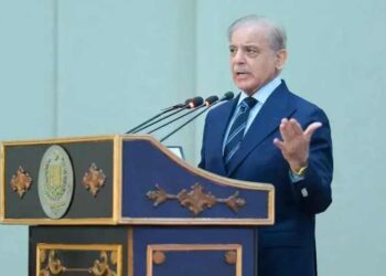 PM Shehbaz Vows Uncompromising Security for Chinese Nationals, Announces $440 Million Pakistan-China Healthcare Deals