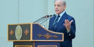 PM Shehbaz Vows Uncompromising Security for Chinese Nationals, Announces $440 Million Pakistan-China Healthcare Deals