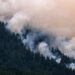 Wildfire Smoke Poses Growing Global Health Threat, Linked to Thousands of Deaths and Serious Diseases