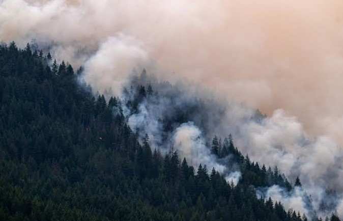 Wildfire Smoke Poses Growing Global Health Threat, Linked to Thousands of Deaths and Serious Diseases