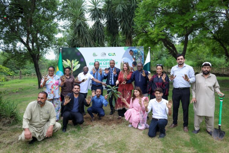Ethiopian Embassy Holds Plantation Drive under Green Legacy Initiative