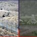 Several Afghan Taliban Personnel Reportedly Killed in Border Clashes
